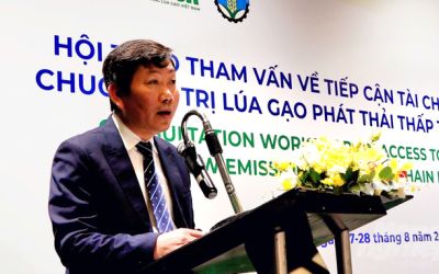 Giải pháp ứng phó với những thách thực trong việc phát triển chuỗi giá trị lúa gạo