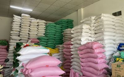 Kinh nghiệm mở đại lý gạo cần phải biết ngay từ đầu