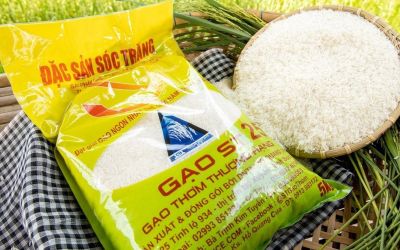 Địa điểm bán Gạo ST25 Ông Cua chính hãng tại Nha Trang