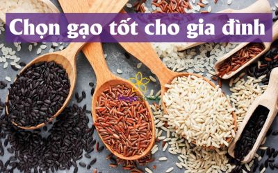 Cách chọn gạo tốt cho sức khỏe gia đình có trẻ nhỏ và người già – Bí quyết ít người biết!
