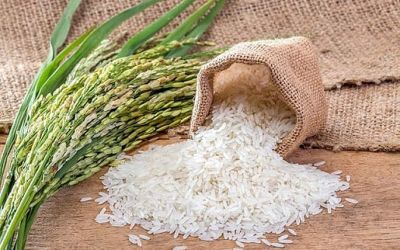 Đừng ham rẻ: Vì sao gạo 17.000/kg lại được người nội trợ thông minh lựa chọn? 