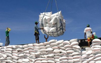 Giá Gạo Việt Nam Tăng Cao Nhất Thế Giới: Đối Tác Truyền Thống Tăng Nhập Khẩu Đẩy Nhu Cầu