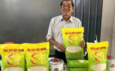 Gạo ST 25 bao nhiêu tiền? Địa chỉ mua gạo ST 25 uy tín